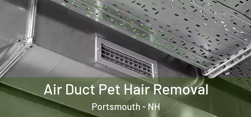 Air Duct Pet Hair Removal Portsmouth - NH