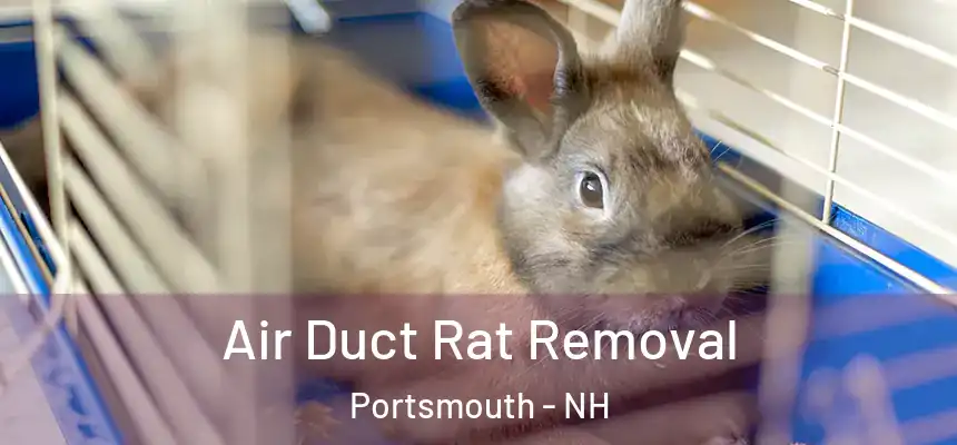 Air Duct Rat Removal Portsmouth - NH