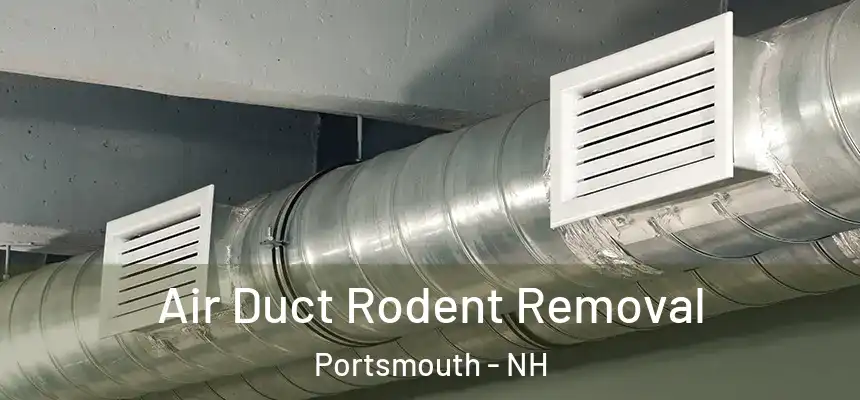  Air Duct Rodent Removal Portsmouth - NH