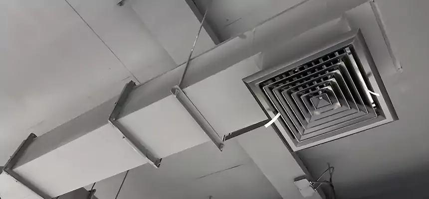 Our Rodent Droppings In Vents Services in Portsmouth, NH