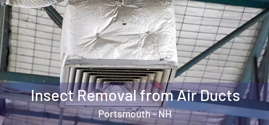  Insect Removal from Air Ducts Portsmouth - NH