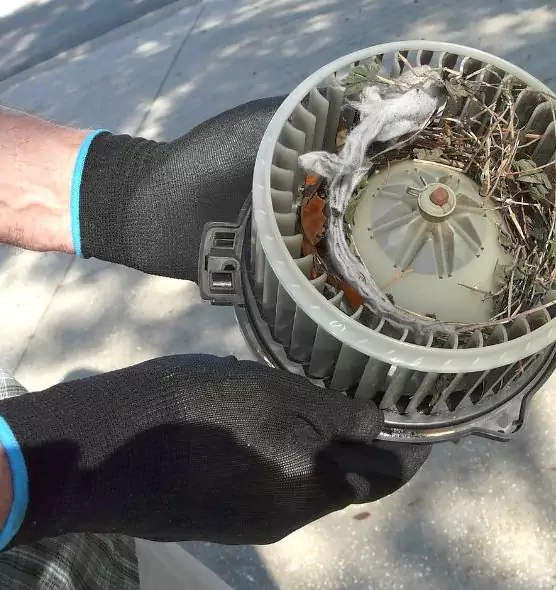 About Air Duct Mice Removal in Portsmouth, NH