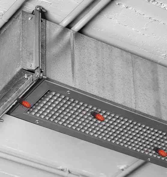 Affordable Insect Removal from Air Ducts in Portsmouth, NH