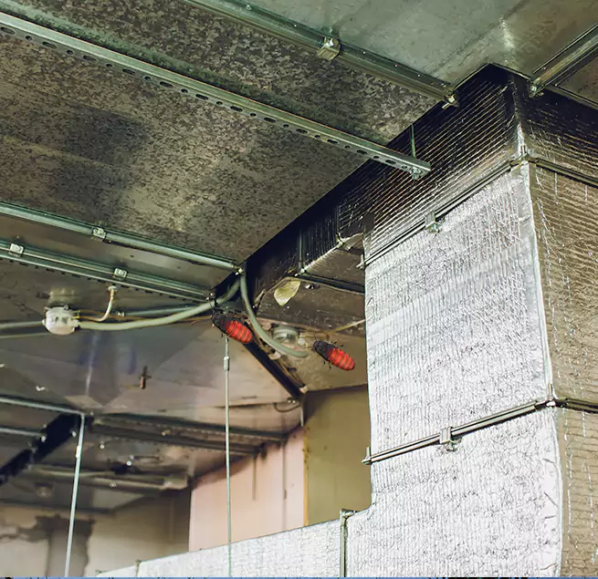 Why Homeowners & Businesses Trust Us in Portsmouth, NH?