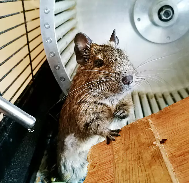 Why Homeowners & Businesses Trust Us Portsmouth, NH