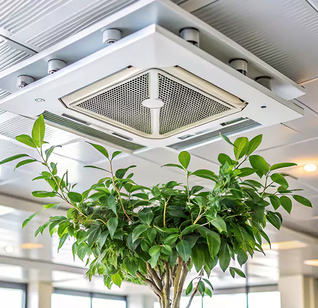 Why Homeowners & Businesses Trust Us in Portsmouth, NH?